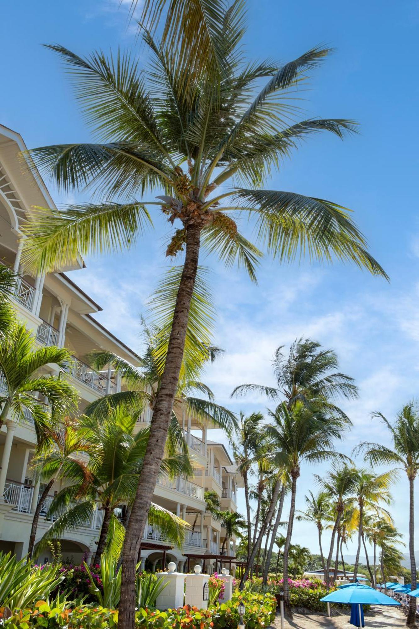 The Landings Resort And Spa - All Suites Gros Islet Exterior photo